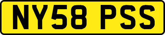 NY58PSS
