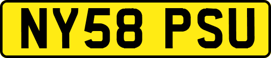 NY58PSU