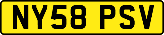 NY58PSV