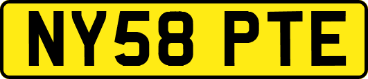 NY58PTE