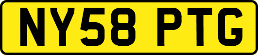 NY58PTG