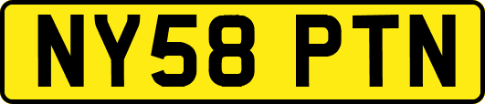 NY58PTN