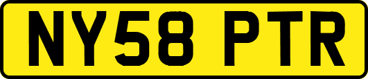NY58PTR
