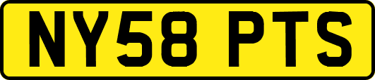 NY58PTS