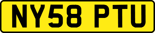 NY58PTU