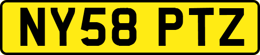NY58PTZ