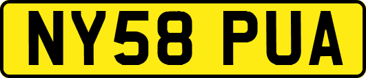 NY58PUA