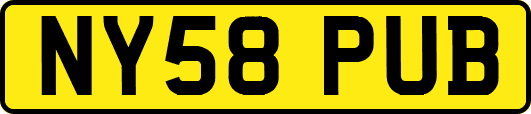 NY58PUB
