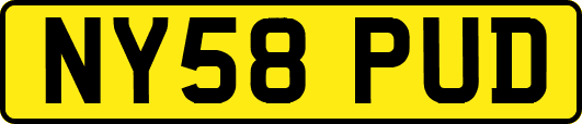 NY58PUD