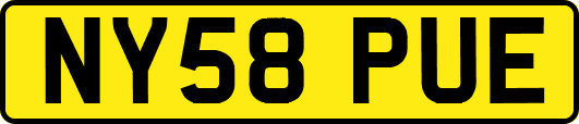 NY58PUE