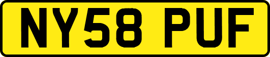 NY58PUF
