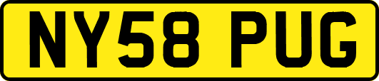 NY58PUG