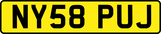 NY58PUJ
