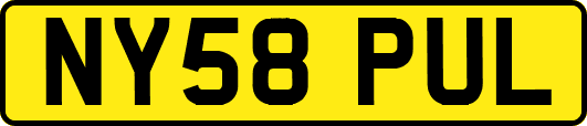 NY58PUL