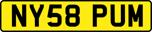 NY58PUM