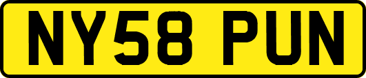 NY58PUN