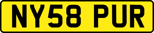 NY58PUR