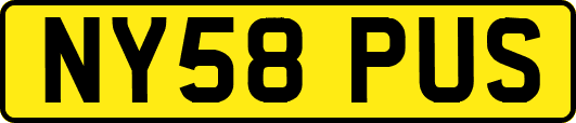NY58PUS
