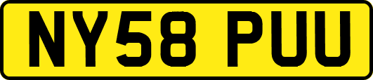 NY58PUU