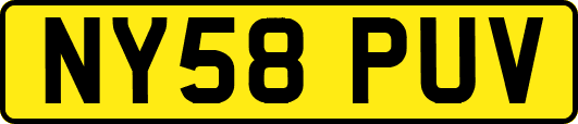 NY58PUV