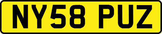 NY58PUZ