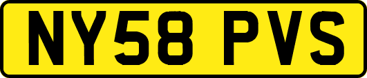 NY58PVS