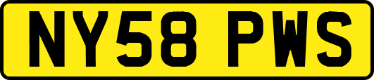 NY58PWS