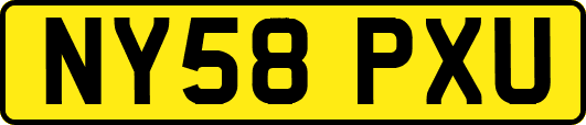 NY58PXU
