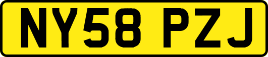 NY58PZJ