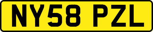 NY58PZL
