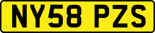 NY58PZS