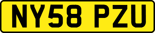 NY58PZU