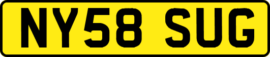 NY58SUG