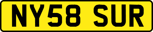 NY58SUR