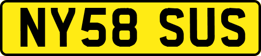 NY58SUS