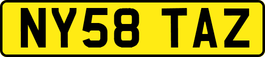 NY58TAZ