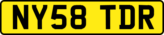 NY58TDR