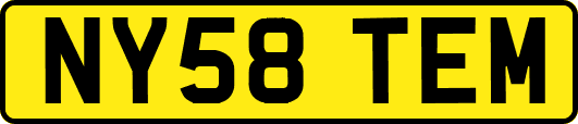 NY58TEM