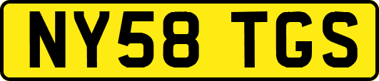 NY58TGS