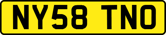 NY58TNO