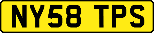 NY58TPS