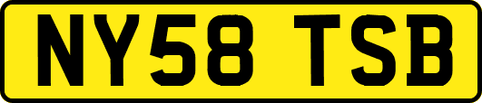 NY58TSB