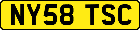 NY58TSC