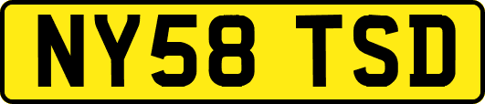 NY58TSD