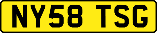 NY58TSG