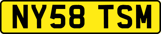 NY58TSM