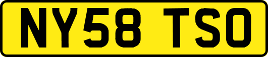 NY58TSO