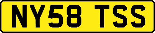 NY58TSS