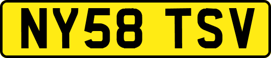 NY58TSV