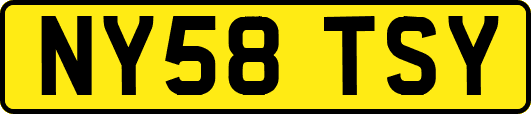 NY58TSY